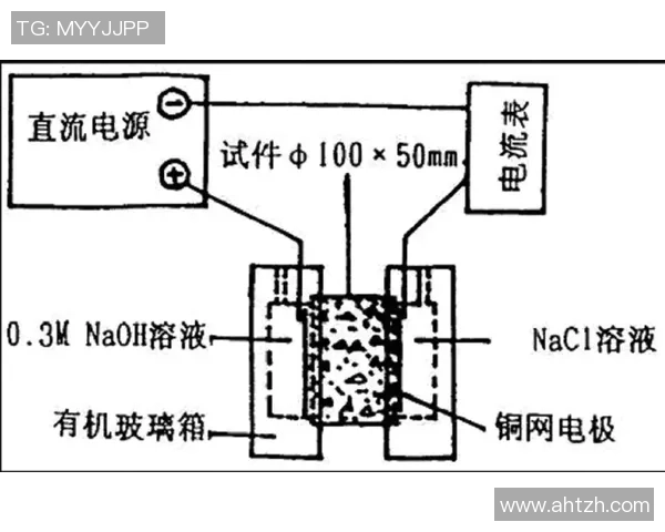广州乒乓球队边路渗透战术分析及其对比赛结果的影响探讨